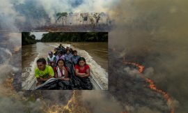 Sabemos cómo parar los incendios que devastan la Amazonía?