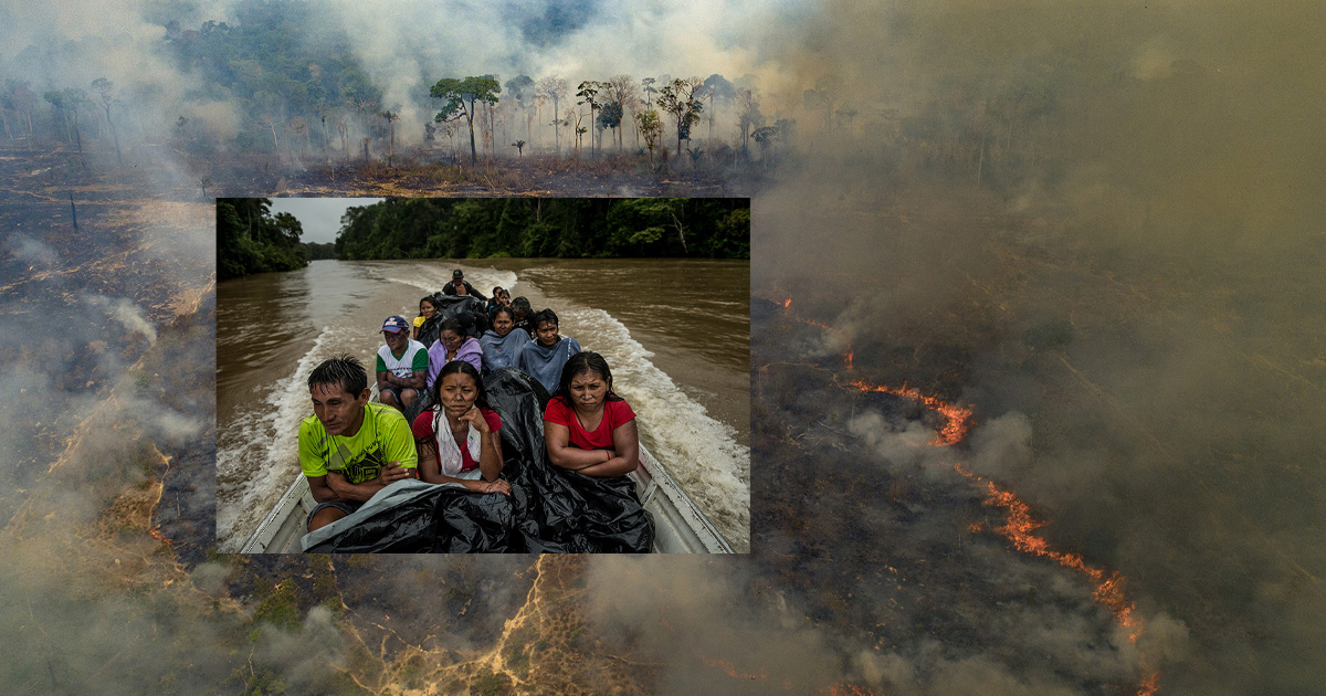 En este momento estás viendo Sabemos cómo parar los incendios que devastan la Amazonía?