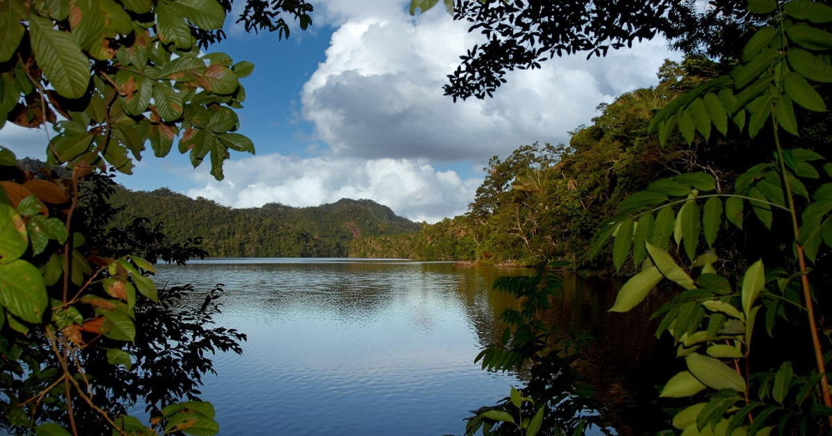 Lee más sobre el artículo Las reservas forestales no son áreas protegidas