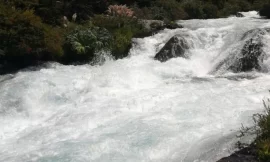 El agua como elemento vital de la Cultura Mapuche